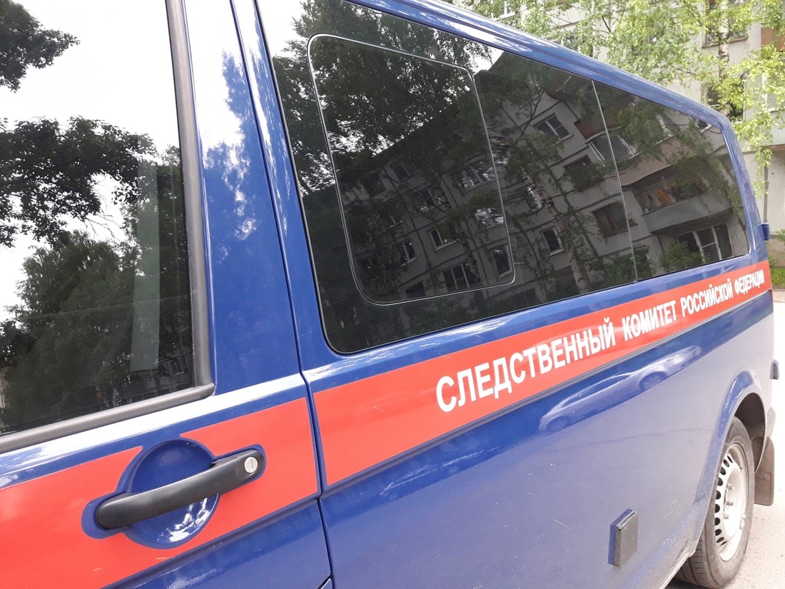 63-летний мужчина погиб на пожаре под Вытегрой