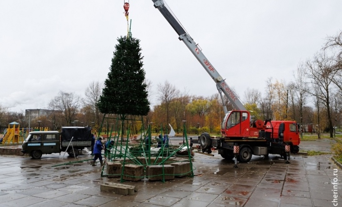 Новогодние ели начали устанавливать в Череповце