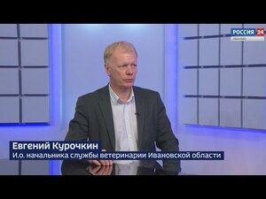 Вести 24 - Интервью Е. Курочкин