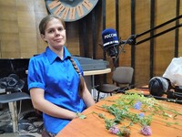 Интервью от 2 июля 2020 года. Целебные травы. Как собирать, как хранить, как использовать
