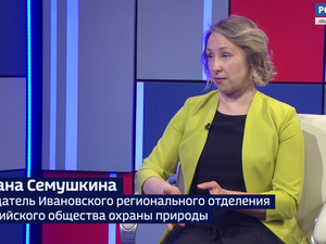 Вести 24 - Интервью С. Семушкина