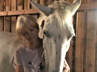 Эфир от 6 марта 2024 года. Елена Архипова из села Межи Родниковского района занимается реабилитацией лошадей