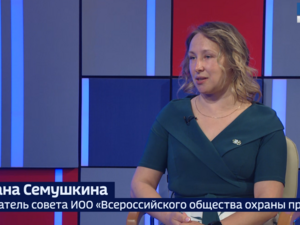Вести 24 - Интервью С. Семушкина