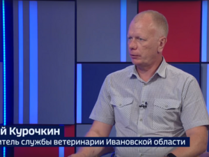 Вести 24 - Интервью Е. Курочкин 