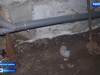 Жители многоквартирного дома в Богородском жалуются на канализационные стоки в подвале