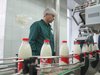 Цены на молочную продукцию в Ивановской области снизились