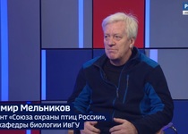 Вести 24 - Интервью В. Мельников 