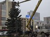 Новую ёлку установили на площади Победы в Иванове