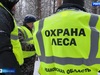 Леса Ивановской области усиленно патрулируют в рамках операции «Елочка»