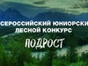 Три школьника из Ивановской области сразятся за победу во Всероссийском юниорском лесном конкурсе «Подрост»