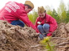 В Ивановской области за шесть лет проведения Международной акции «Сад Памяти» посажено свыше 1 млн деревьев