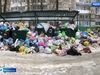 Около 80 жалоб на вывоз мусора зарегистрировано за прошлую неделю в Иванове 