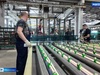 Расширить производство намерена компания по выпуску архитектурного стекла и стеклопакетов в Иванове 