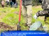 Почти 6 тысяч гектаров леса восстановят в Ивановской области