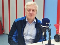 Эфир от 1 апреля 2026 года. Белая лазоревка — маленькая птичка из семейства синицевых