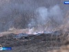 За сутки спасатели Ивановской области 37 раз выезжали на тушение сухой травы