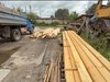 Полиция Ивановской области задержала «черного лесоруба» за махинации с древесиной