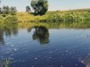 Полиция задержала браконьера с острогой в Ивановской области