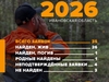 За апрель в Ивановской области ЛизаАлерт приняли 35 заявок на поиск