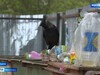 Свой рабочий день в Кинешме губернатор Ивановской области посвятил общению с жителями