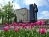 В Иванове на городских клумбах высадят около 60 тысяч однолетних цветов