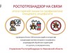 Более 200 человек обратились на горячую линию Ивановской области по профилактике энцефалита