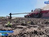 Почти 75 тысяч гектаров составит площадь ярового сева в Ивановской области