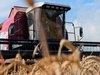 План мероприятий по развитию конкуренции на товарных рынках утвердили в Ивановской области