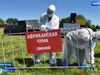 В Гаврилово-Посадском районе прошли межрегиональные учения по ликвидации очага чумы свиней