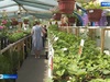 Россельхознадзор проверяет питомники растений