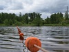 В Иванове проверили места отдыха у воды на готовность к купальному сезону
