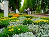 В Фурманове прошёл субботник на центральной аллее