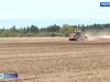 Посевная кампания в регионе перешагнула «экватор»
