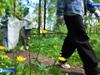Марафоны чистоты провели в ивановских парках
