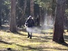Детские площадки и общественные пространства в Иванове обрабатывают от клещей