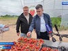 Губернатор Ивановской области провел рабочий день в Комсомольском районе