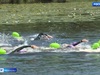 Первый этап соревнований по плаванию на открытой воде «Swimсup» пройдет в Ивановской области