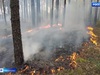 В лесах Ивановской области сохраняется малая пожарная опасность