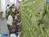 Ивановские школьники и студенты помогают плести масксети