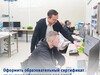 Сертификат на высшее образование детей участников СВО теперь можно в МФЦ Ивановской области