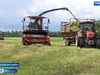 В сельхозпредприятиях Ивановской области приступили к заготовке кормов