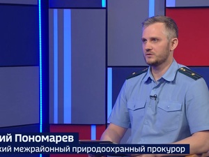 Вести 24 - Интервью Д. Пономарев