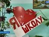 Второй этап масштабного ремонта начался в Ильинской школе