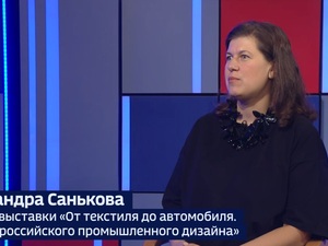Вести 24 - Интервью А. Санькова