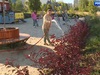 Восемь проектов в Иванове стали победителями грантовой программы «Цветущий город»