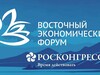Опубликована архитектура деловой программы Восточного экономического форума – 2026