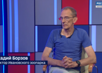 Вести 24 - Интервью А. Борзов