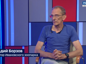 Вести 24 - Интервью А. Борзов