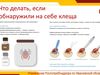 С начала сезона по поводу укусов клещей жители Ивановской области обратились 1400 раз