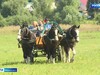 Фестиваль «Праздник русских традиций» прошел в Ивановской области